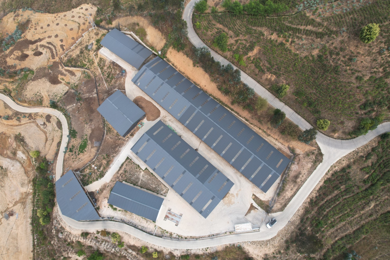 DJI_0884.jpg