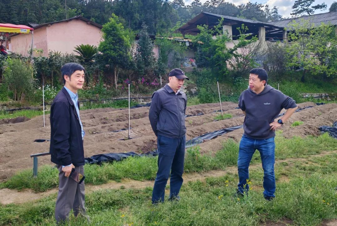 不“坐等”！区科技局“上门问诊”为企业高质量发展添动能