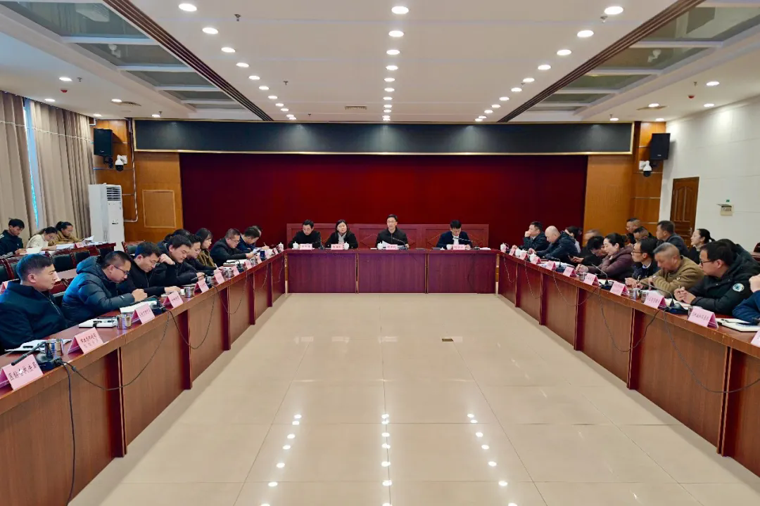 区人民政府党组会议暨区五届人民政府第72次常务会议召开