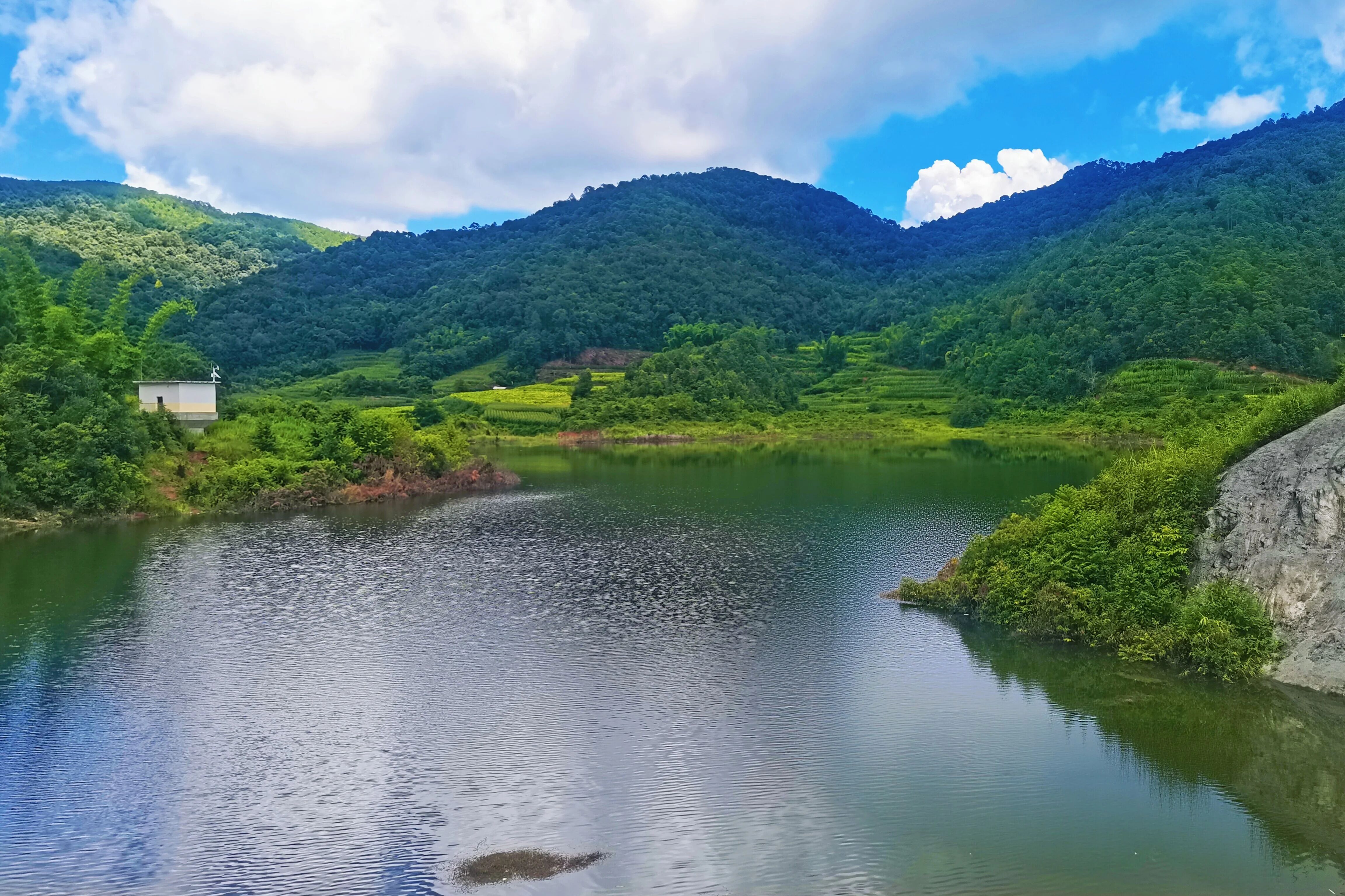 1773714197260091158.jpg 2.jpg